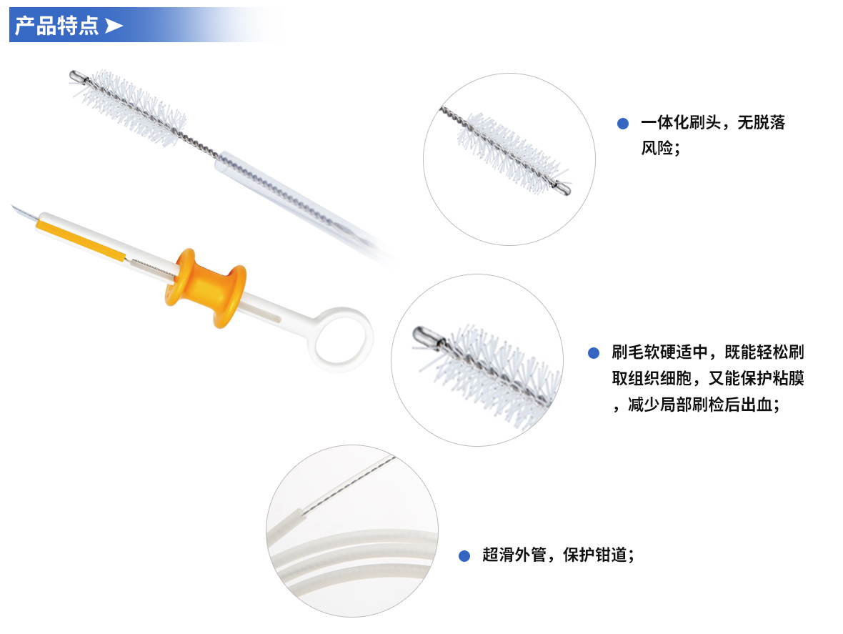 详情.jpg